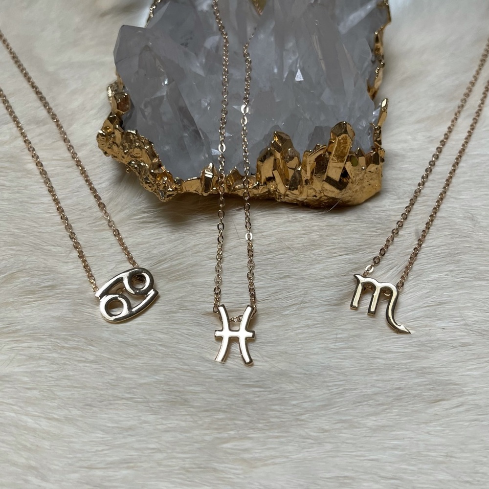 Water Sign Scorpio Pisces Cancer Necklace